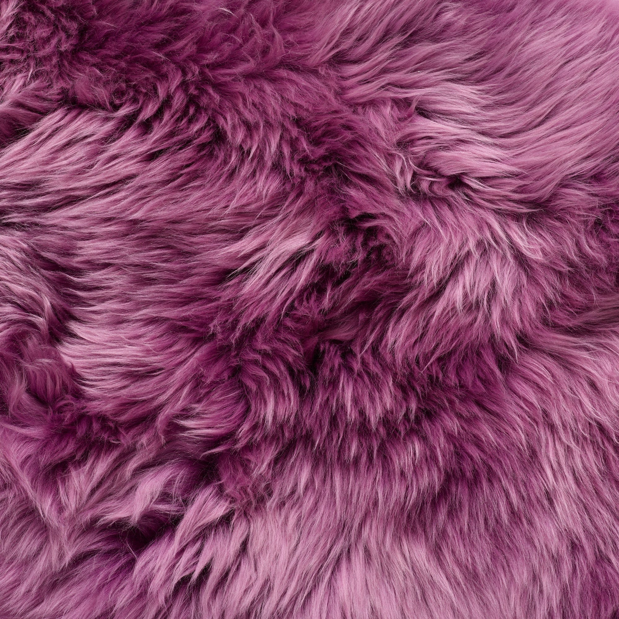 Sheepskin - Single Piece Rug - Image 22
