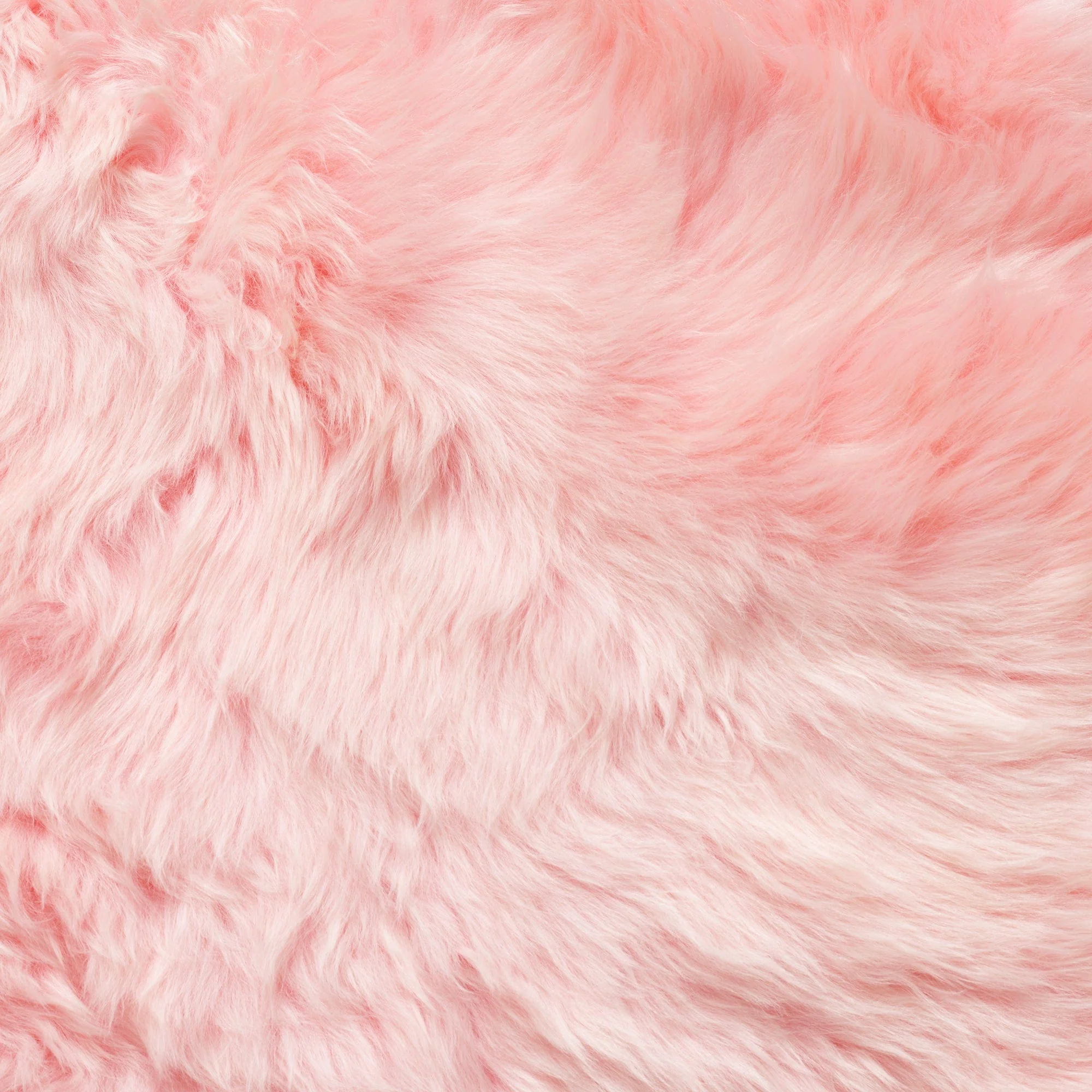 Sheepskin - Single Piece Rug - Image 48